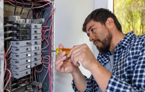 Best Local Electrician Companies  in Black Creek, WI